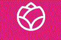 Logo EnviaFlores