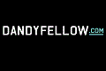 Logo Dandy Fellow