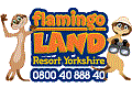 Logo Flamingo Land